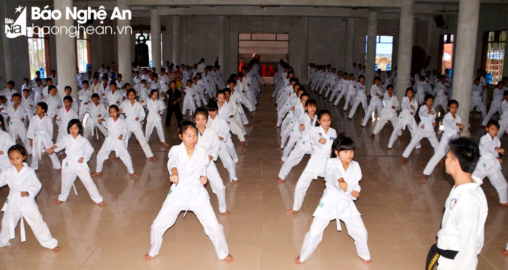 Nữ sinh ĐH kinh tế Quốc dân tập karate chiếm sóng mạng xã hội